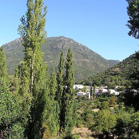 Napaimbe Sierra Apartamento Benamahoma Exterior foto