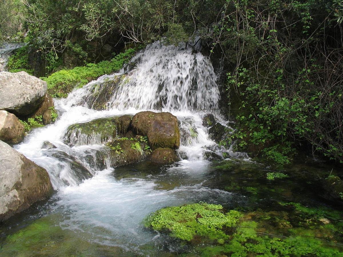 Napaimbe Sierra Apartamento Benamahoma Exterior foto