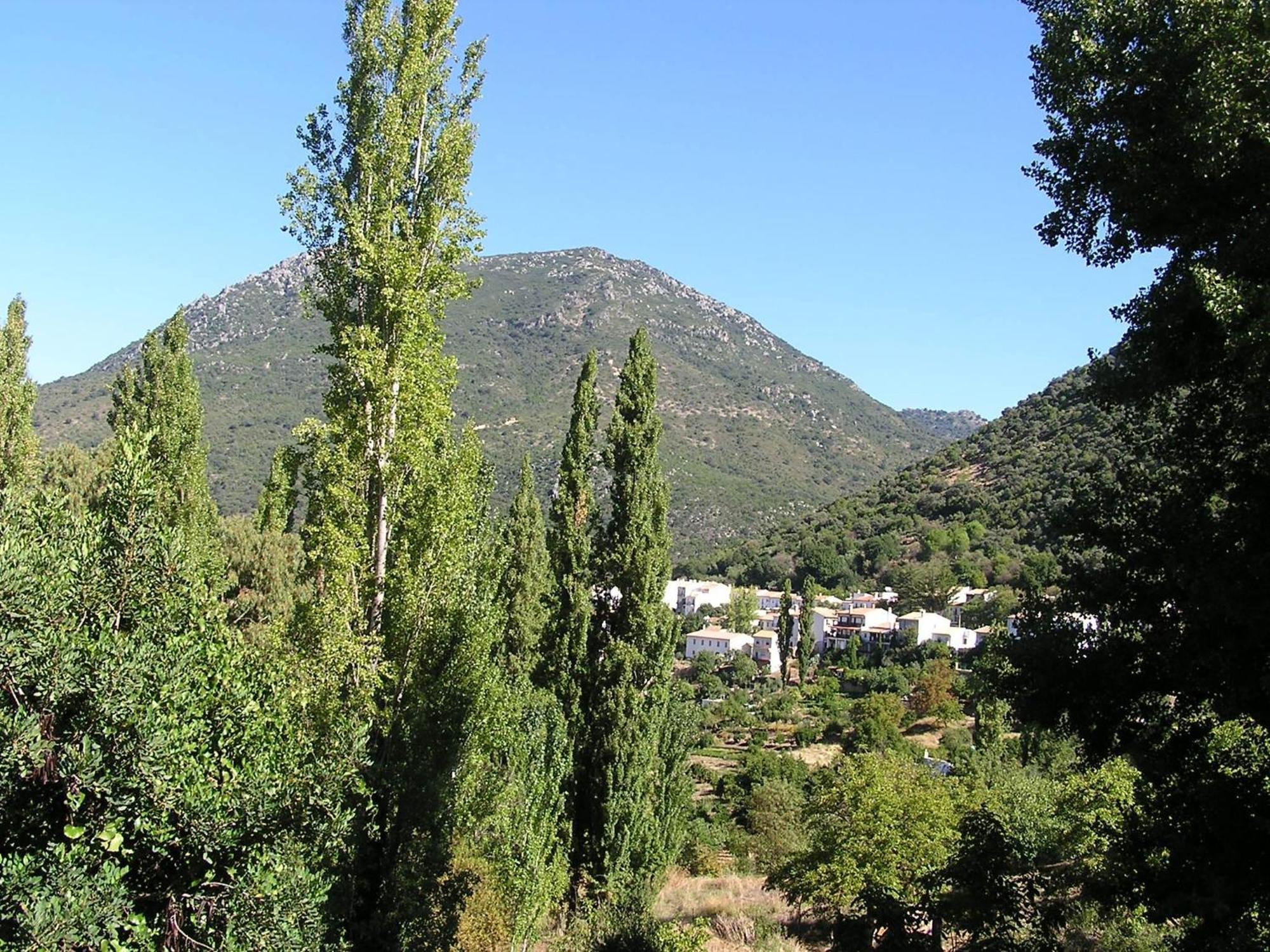 Napaimbe Sierra Apartamento Benamahoma Exterior foto